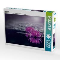 Produktbild: CALVENDO Puzzle Seerosen | 1000 Teile Lege-Gr&ouml;&szlig;e 64x48cm Foto-Puzzle f&uuml;r gl&uuml;ckliche Stunden