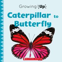 Produktbild: Caterpillar to Butterfly (Growing Up)