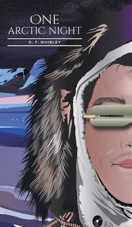 Produktbild: One Arctic Night