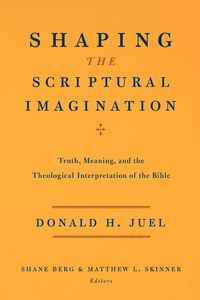 Produktbild: Shaping the Scriptural Imagination
