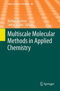 Produktbild: Multiscale Molecular Methods in Applied Chemistry