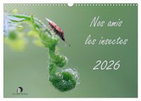 Produktbild: Nos amis les insectes (Calendrier mural 2027 DIN A3 vertical), CALVENDO calendrier mensuel