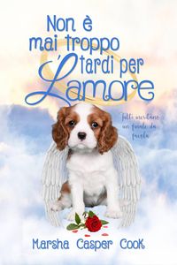 Produktbild: Non &egrave; mai troppo tardi per l'amore