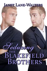 Produktbild: Seducing the Blakefield Brothers