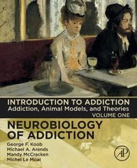 Produktbild: Introduction to Addiction