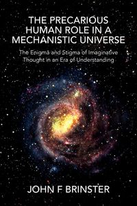 Produktbild: The Precarious Human Role in a Mechanistic Universe