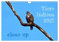Produktbild: Tiere Indiens close up (Wandkalender 2027 DIN A4 quer), CALVENDO Monatskalender
