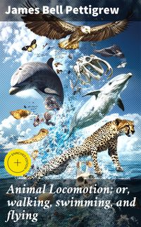 Produktbild: Animal Locomotion; or, walking, swimming, and flying