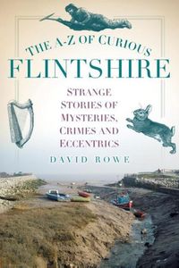 Produktbild: The A-Z of Curious Flintshire