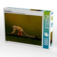 Produktbild: CALVENDO Puzzle Totenkopf&auml;ffchen | 1000 Teile Lege-Gr&ouml;&szlig;e 64x48cm Foto-Puzzle f&uuml;r gl&uuml;ckliche Stunden