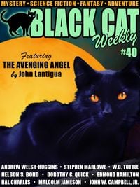 Produktbild: Black Cat Weekly #40