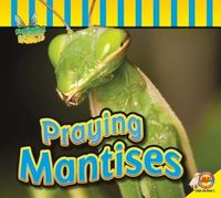 Produktbild: Praying Mantises
