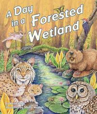 Produktbild: A Day in a Forested Wetland