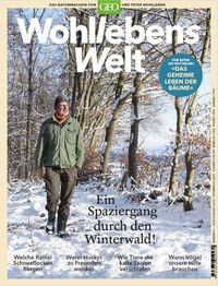 Bild vom Artikel Wohllebens Welt / Wohllebens Welt 4/2019 - Ein Spaziergang durch den Winterwald vom Autor Peter Wohlleben