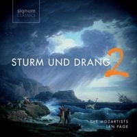 Produktbild: Sturm und Drang Vol.2