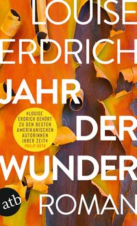 Produktbild Jahr der Wunder