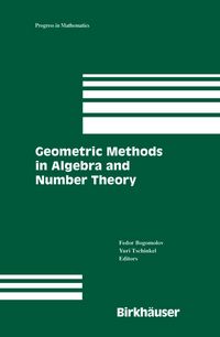 Produktbild: Geometric Methods in Algebra and Number Theory