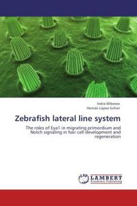 Produktbild: Wibowo, I: Zebrafish lateral line system