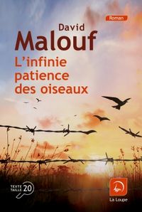 Produktbild: L'infinie patience des oiseaux