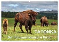 Produktbild: TATONKA Der nordamerikanische Bison (Wandkalender 2026 DIN A2 quer), CALVENDO Monatskalender