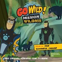 Produktbild: Folge 16: Das Geheimnis der Seidenspinnen / Der schwarze Jaguar (Das Original H&ouml;rspiel zur TV-Serie)