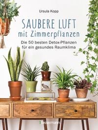 Produktbild: Saubere Luft mit Zimmerpflanzen