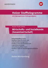 Bild vom Artikel Holzer Stofftelegramme - Wirtschafts- und Sozialkunde (Gesamtwirtschaft). Kompetenzbereiche I-IV. Aufgabenband. Baden-Württemberg vom Autor Volker Holzer