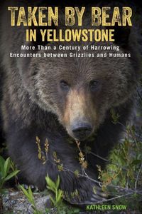 Produktbild: Taken by Bear in Yellowstone