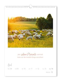 Wochenkalender 2024 LebensWeisheiten