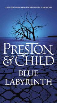 Bild vom Artikel Blue Labyrinth vom Autor Douglas Preston