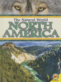Produktbild: North America