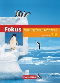 Produktbild: Fokus Naturwissenschaften - Gymnasium Hessen und Rheinland-Pfalz - 5./6. Schuljahr