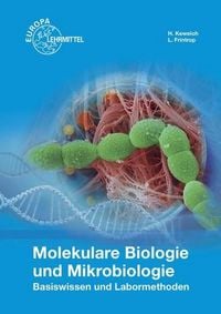 Produktbild: Frintrop, L: Molekulare Biologie und Mikrobiologie
