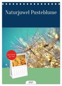 Produktbild: Tischplaner 2027 - Naturjuwel Pusteblume (A5 Tischkalender zum Aufstellen) CALVENDO