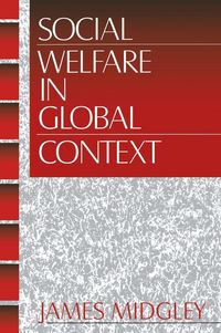 Produktbild: Social Welfare in Global Context
