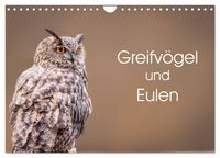 Produktbild: Greifv&ouml;gel und Eulen (Wandkalender 2027 DIN A4 quer), CALVENDO Monatskalender