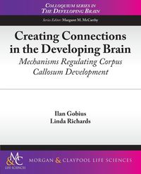 Produktbild: Creating Connections in the Developing Brain