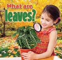 Produktbild: What Are Leaves?
