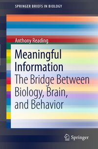 Produktbild: Meaningful Information