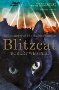 Produktbild: Blitzcat