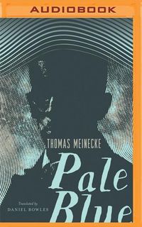 Bild vom Artikel Pale Blue vom Autor Thomas Meinecke