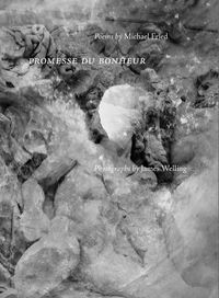 Produktbild: Fried, M: Promesse du Bonheur