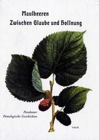Produktbild: Maulbeeren - Zwischen Glaube und Hoffnung