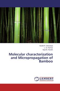 Produktbild: Molecular characterization and Micropropagation of Bamboo