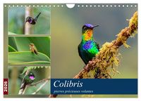Produktbild: Colibris - pierres pr&eacute;cieuses volantes (Calendrier mural 2026 DIN A4 vertical), CALVENDO calendrier mensuel