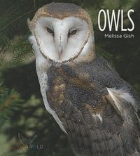 Produktbild: Owls
