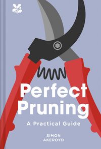 Produktbild: Akeroyd, S: Perfect Pruning