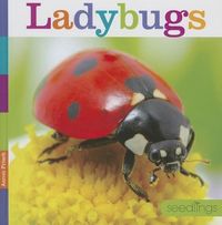 Produktbild: Ladybugs