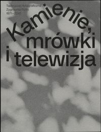 Produktbild: Zygmunt Rytka: Kamienie, mr&oacute;wki i telewizja