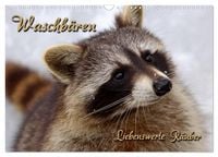 Produktbild: Waschb&auml;ren (Wandkalender 2027 DIN A3 quer), CALVENDO Monatskalender